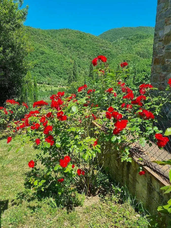Villa La Monta Chiocchio